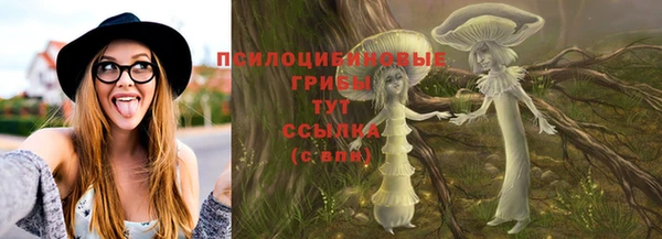 дмт Армянск