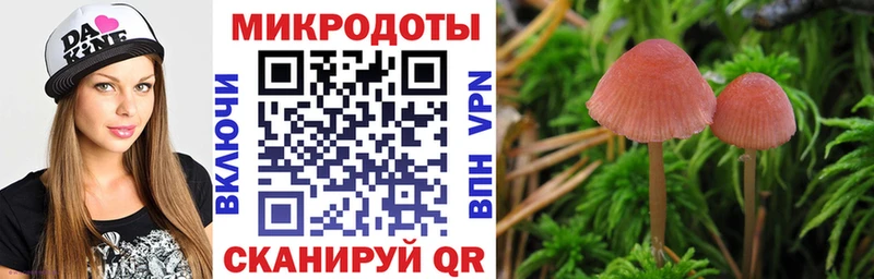 купить  сайты  Новодвинск  Галлюциногенные грибы мухоморы 
