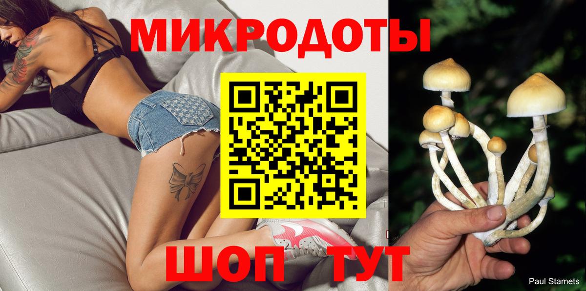Псилоцибиновые грибы Psilocybine cubensis Новодвинск