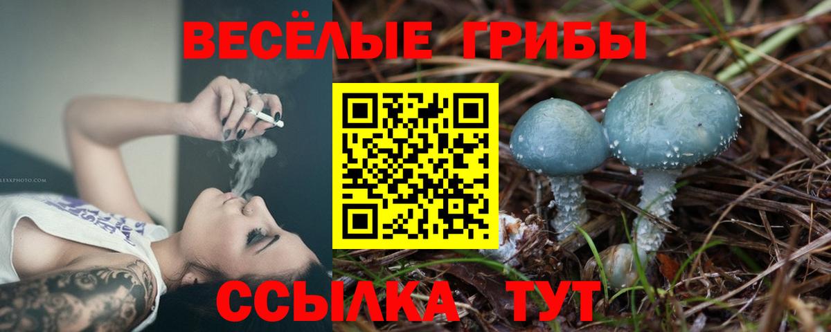 Галлюциногенные грибы мухоморы  Вход с VPN  Галлюциногенные грибы Cubensis  Новодвинск 