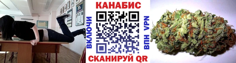 Конопля THC 21%  купить наркотики сайты  блэк спрут зеркало  Новодвинск 