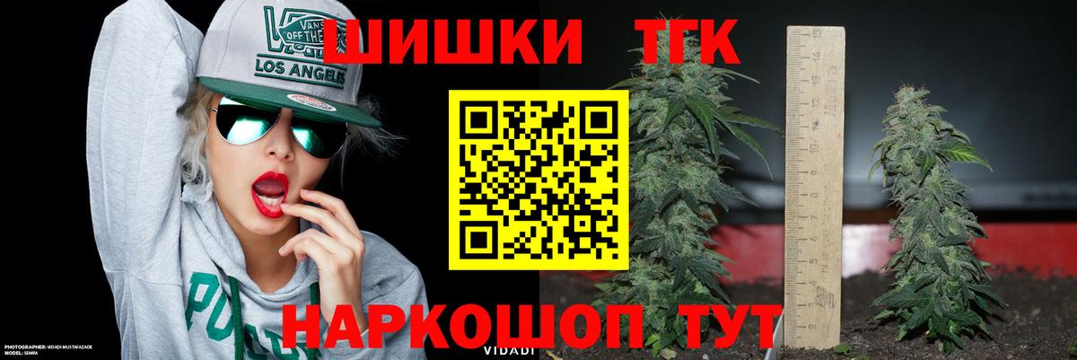 Конопля гибрид Новодвинск